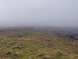 Views on the walks