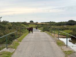 Driving into st breward