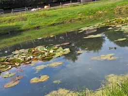 Fishing lake