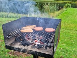 Barbecue and fire put