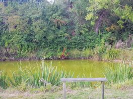 Little fishing pond