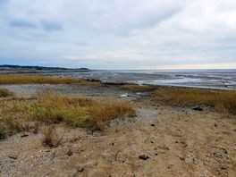Shingle beach