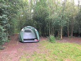 Our pitch in the woods!