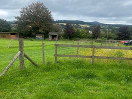 View from our pitch