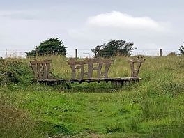 Rustic seating by lake