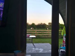 Waking up to a beautiful sunrise and horses grazing.