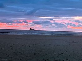 Night sky on the beach and it got better 😊