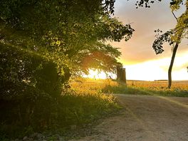Sunset to the side/back of pitch