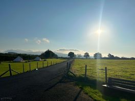 Good morning sun