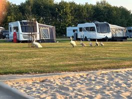 Our little friends came to visit!!