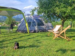 Pet-friendly space where your furry friends are always welcome