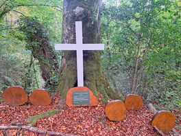 A lovely walk by the river lemon