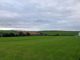 The view