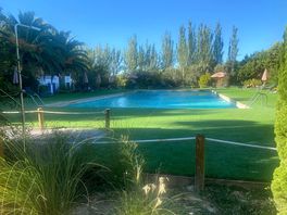 Piscine adultes