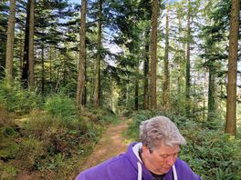 Wooded walk in one of two woodland areas