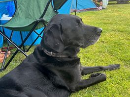 Jack outside our tent