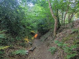 Very middle earth!