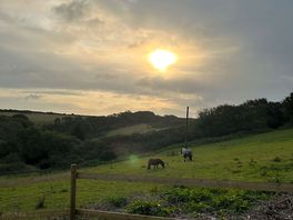 View from the site ☺️