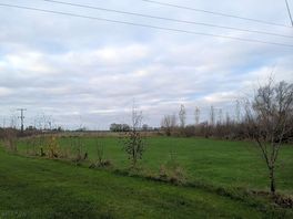 View from the summer field