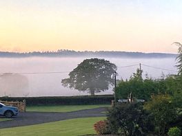 Morning mist