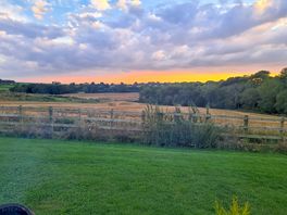 The view