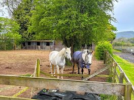 Neighbours