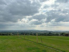 The view