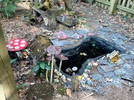 Fairy garden