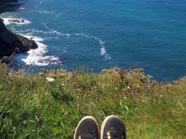Seal spotting on cliffs at st agnes beach