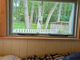 Window looking into woods from bed