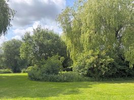Lovely and peaceful