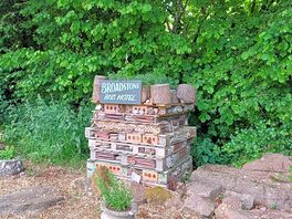 Bugs hotel