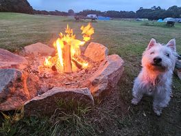 Fire