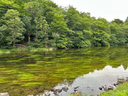 Wast water