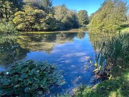 Tranquil lakes