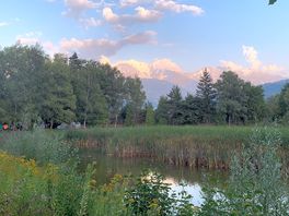 A view from the site