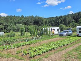 Campingwiese/gemüsegarten