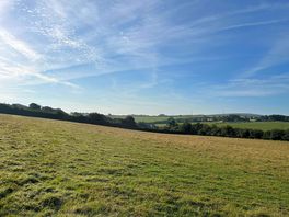 A view over the neighbouring field