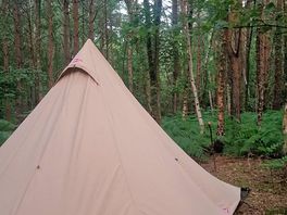 Woodland pitch