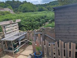 Forest pitch up