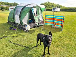 Adult only canpsite. made perfect with on lead dogs.