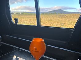 Drinks with a view