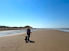 The beach