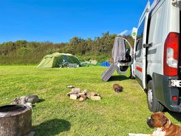 Side view of pitch 4 to pitch 5 with the tent