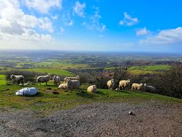 The gritstone way