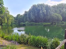 Another view from the decking