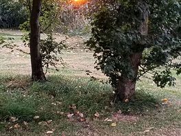 Start of sunset