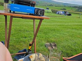 Great view with tea!