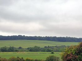 View from top field
