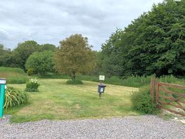 Dog walking area